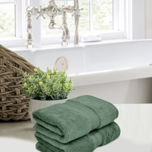Home Fresh Solid 100% Cotton 600 GSM Premium Hand Towel size 40x60 Cm set of 2